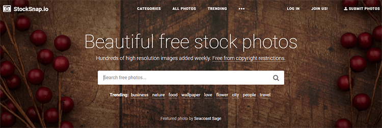 Stocksnap